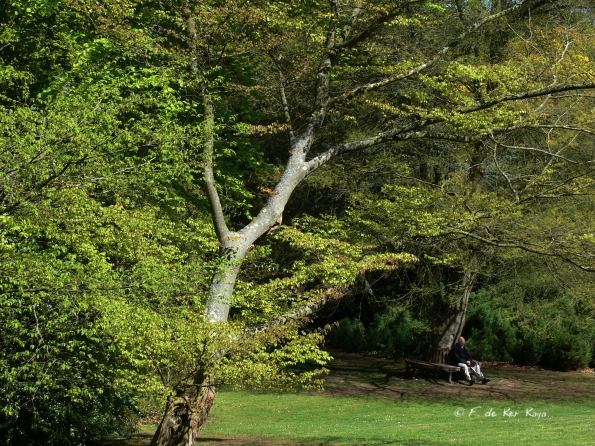 Bois des moutiers (167) Mai 2012